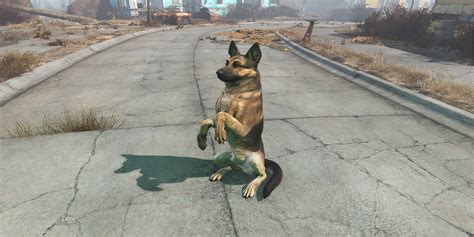 fallout 4 where to find dogmeat